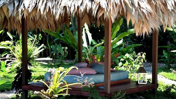 Property grounds - VIP Hotel Playa Negra (Puerto Viejo de Talamanca)