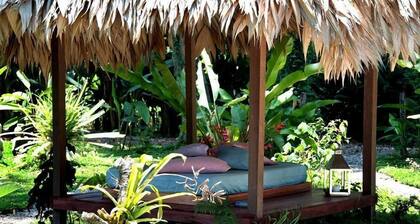 VIP Hotel Playa Negra