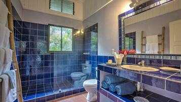 Shower, hair dryer