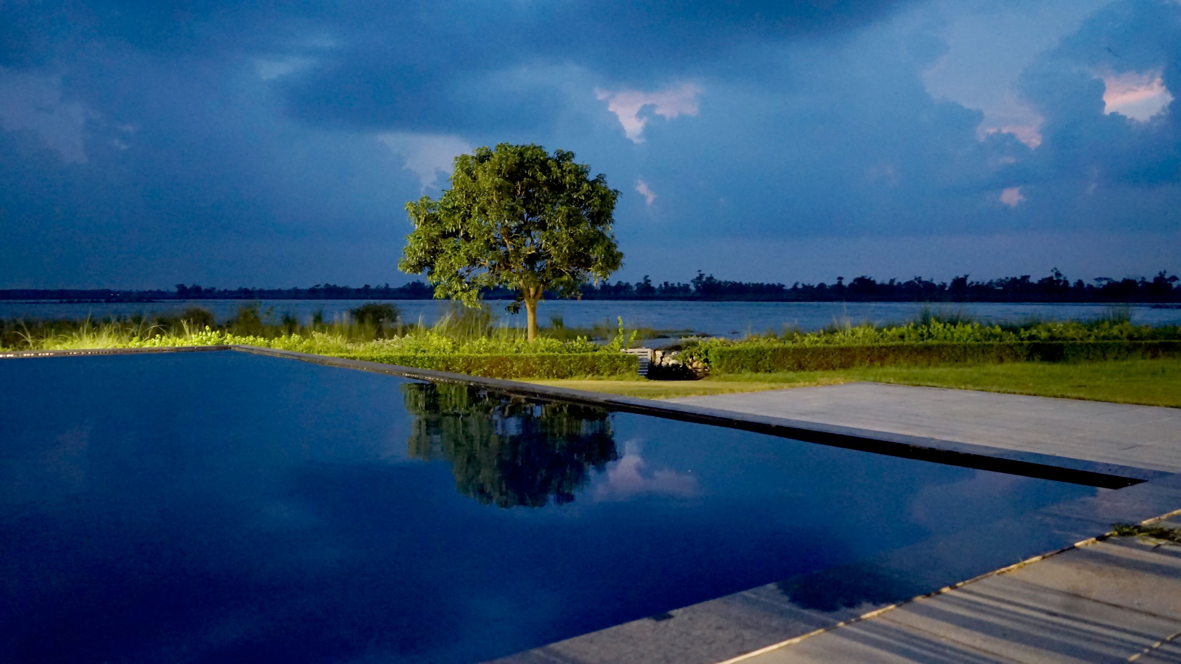 A serene outdoor pool area with a tree and a clear view of the horizon.