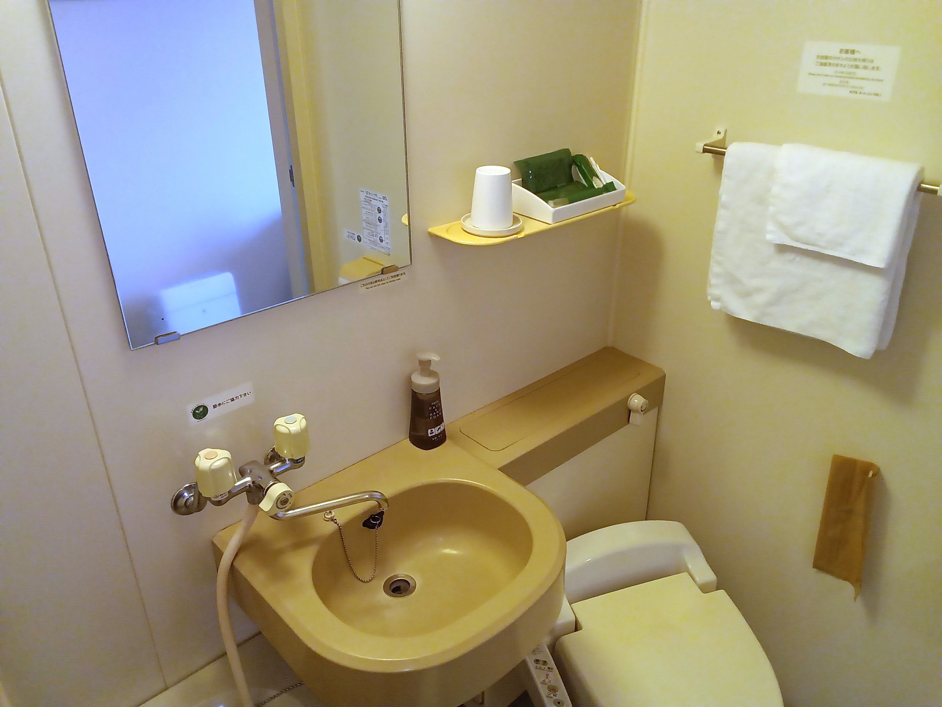 A bathroom with a sink, toilet, and a mirror. There is a shelf with a tissue box and a bottle of hand soap.