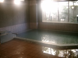 Bañera de hidromasaje interior