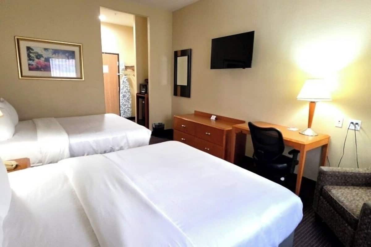 A hotel room with two beds, a desk, a chair, a TV, and a lamp.