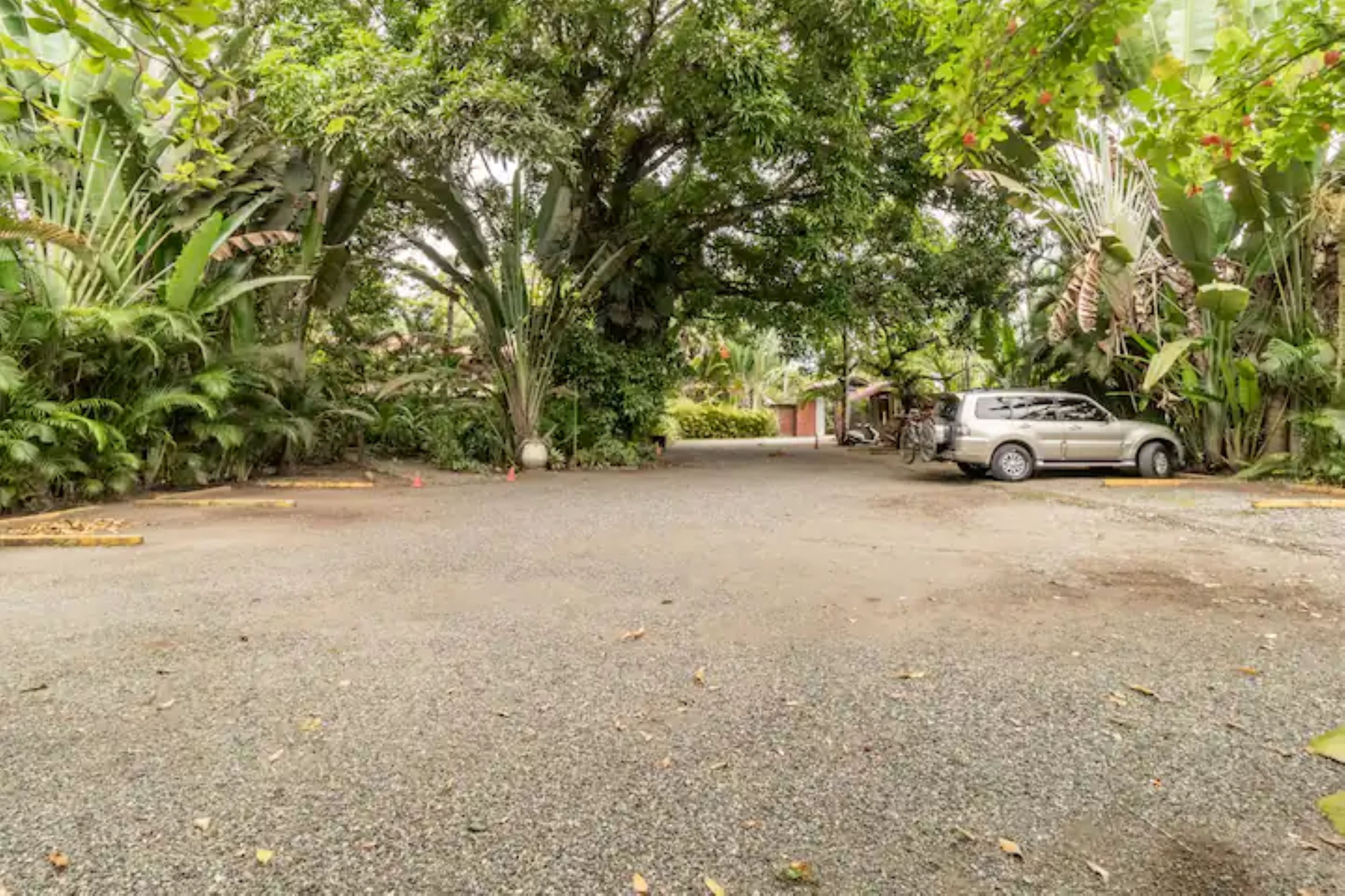 Una strada sterrata conduce a un'auto parcheggiata, circondata da vegetazione rigogliosa e alberi.