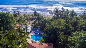 A tropical resort with a swimming pool surrounded by palm trees and a beach view. - Hotel Playa Westfalia (Matama)