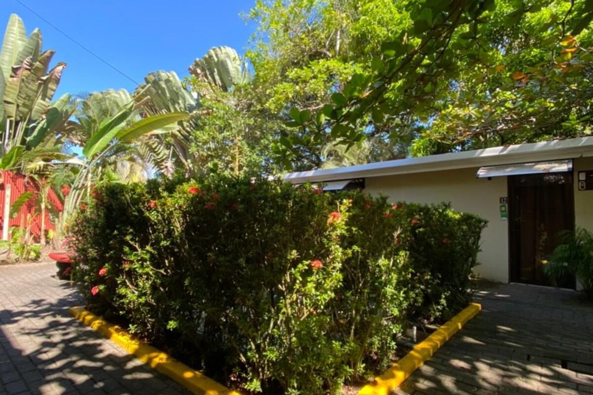 A paved pathway leading to a building with a yellow curb.