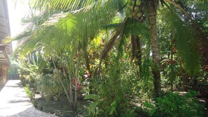 A stone pathway leading through a lush garden with various tropical plants and a palm tree. - Hotel Playa Westfalia (Matama)