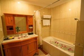 Duschwanne, Komfortbadewanne, Regendusche, Haartrockner