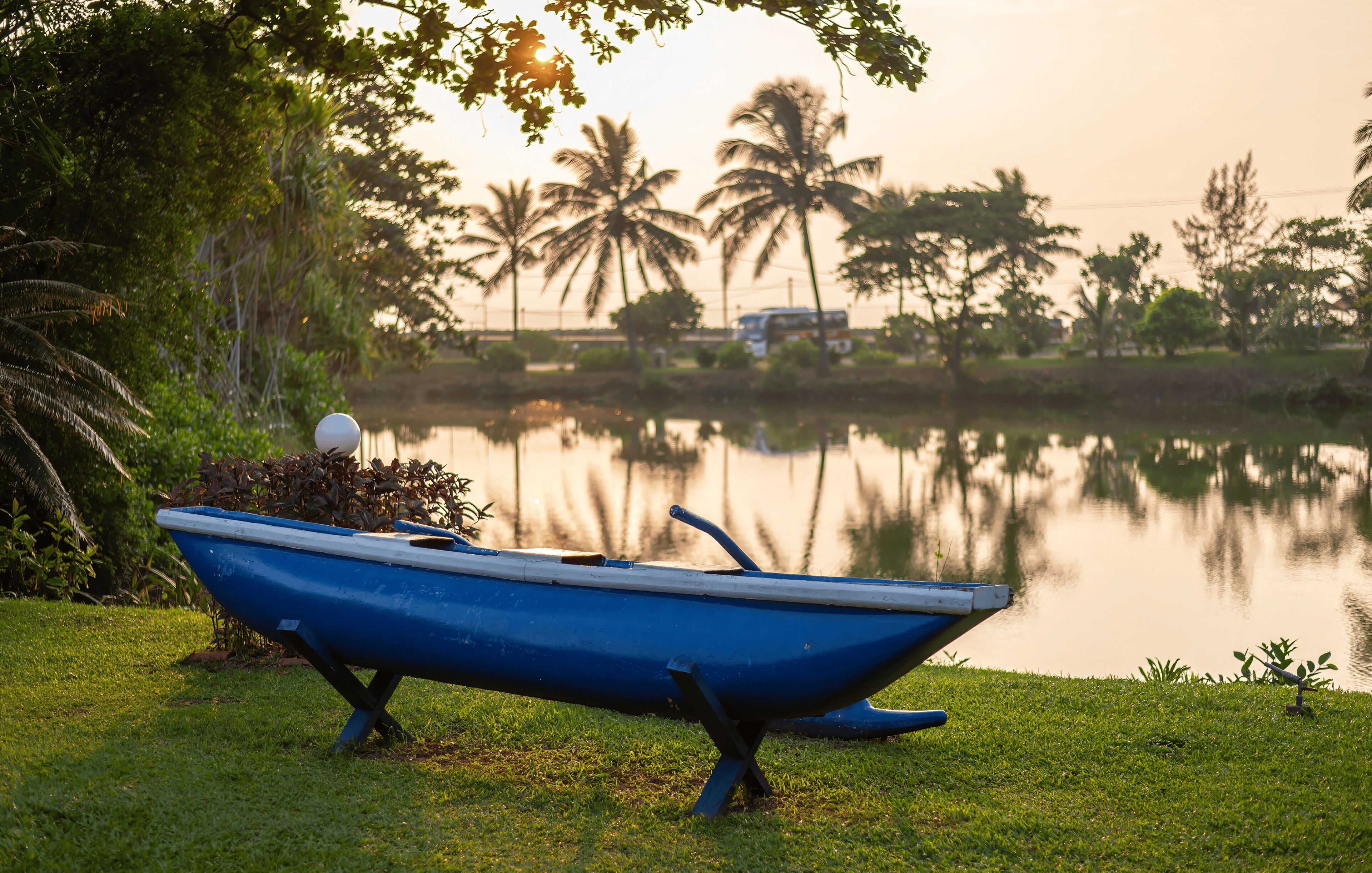 A blue boat on grass near a calm lake with palm trees in the background.