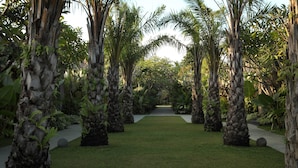 A pathway flanked by palm trees and ferns, leading through a lush garden. - Mahagiri Villas Sanur (Denpasar)