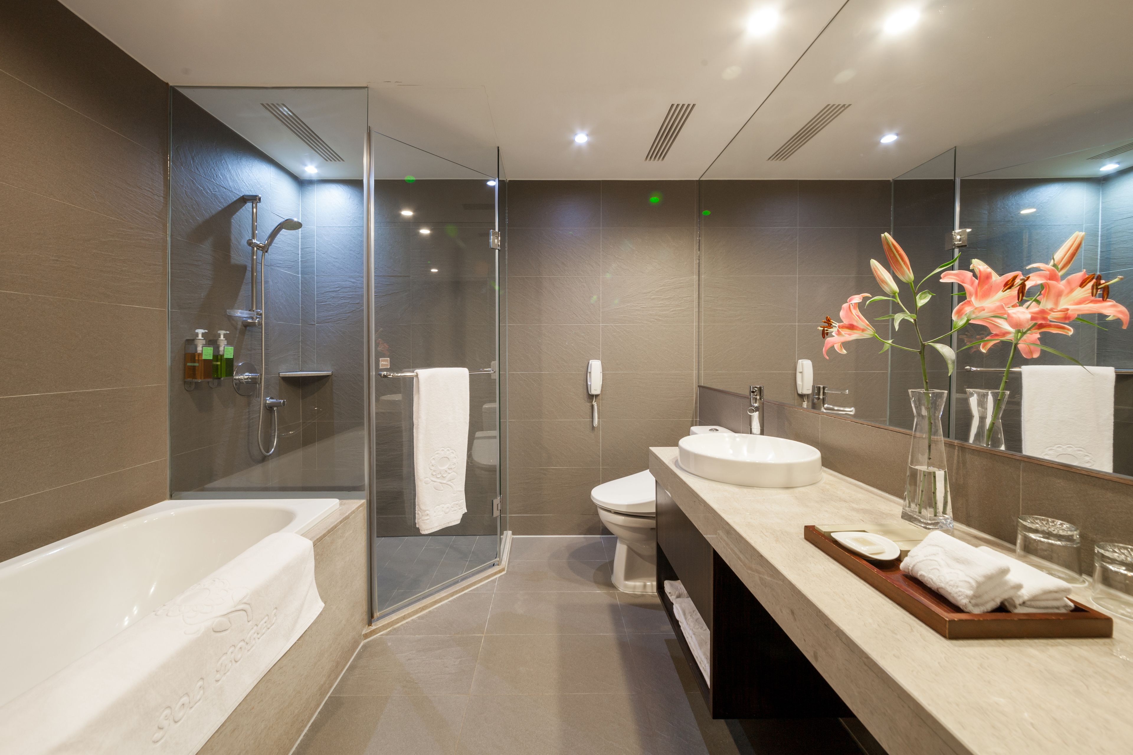 Separate tub and shower, rainfall showerhead, hair dryer, bidet