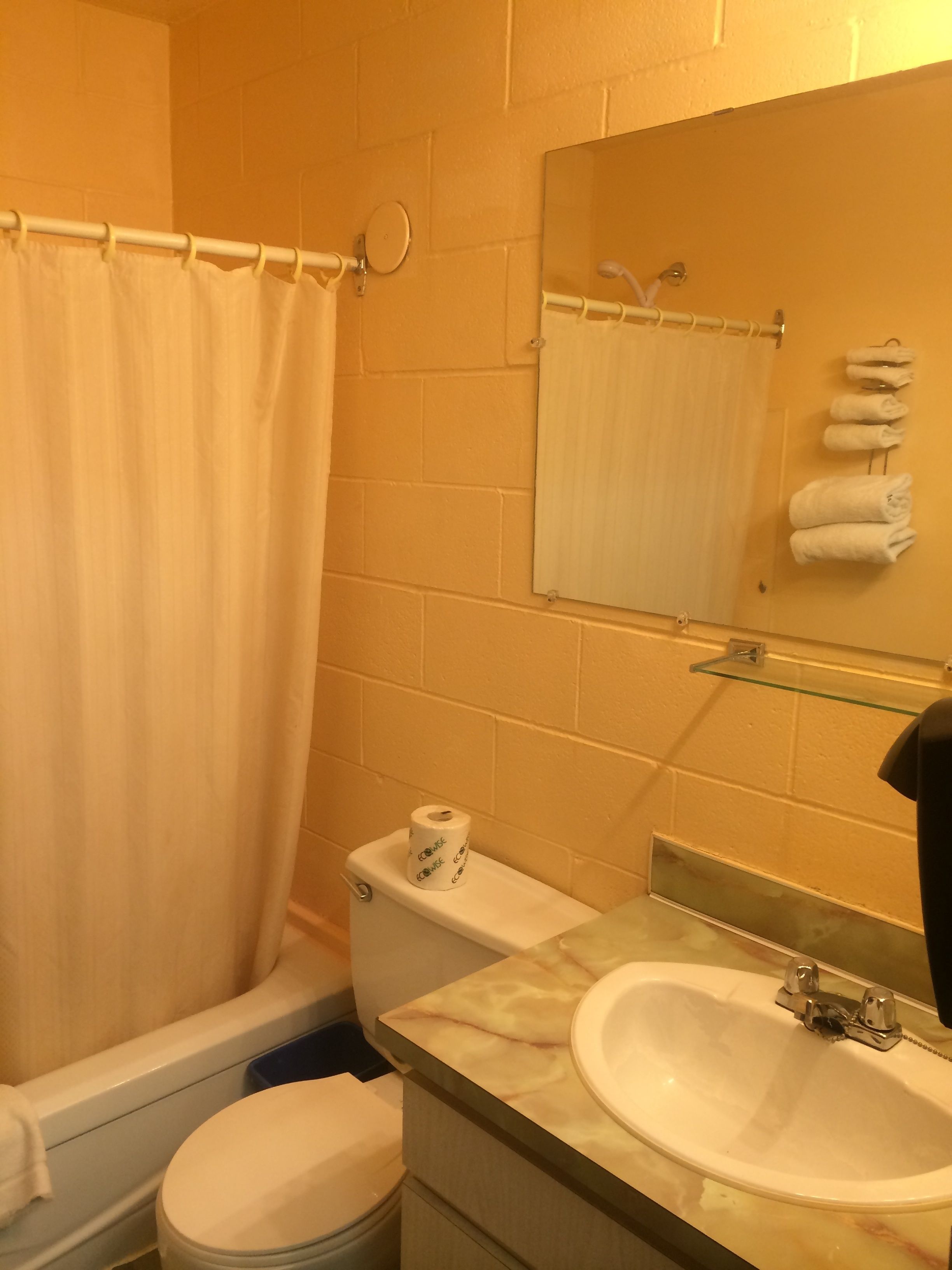 A bathroom with a toilet, sink, and shower curtain.