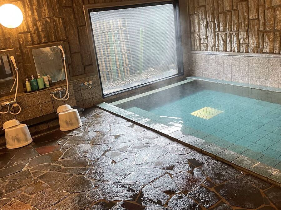 Hair dryer, slippers, electronic bidet, towels