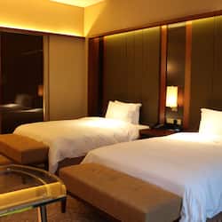 Premium bedding, down duvets, pillow-top beds, minibar