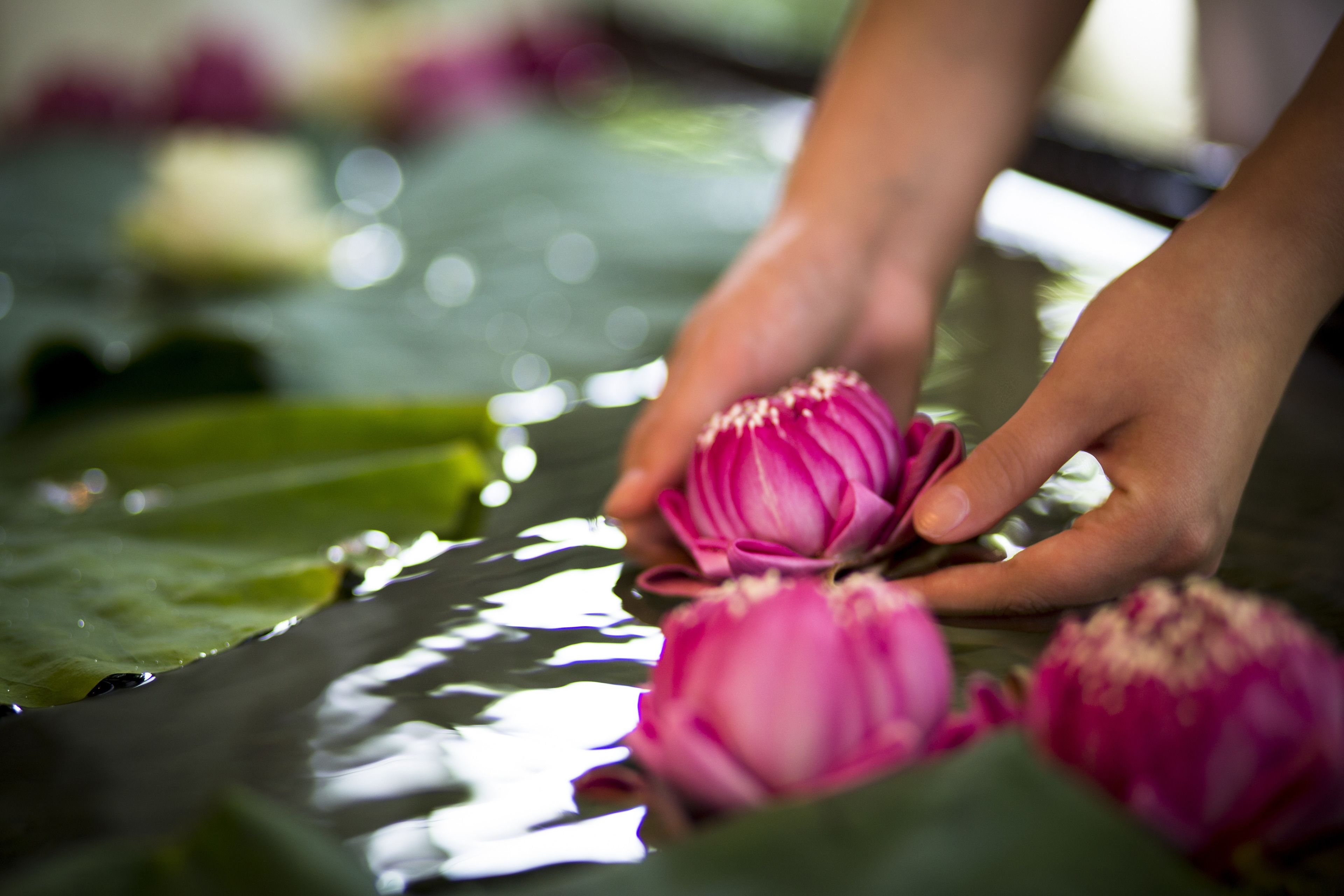 couples treatment room(s), hot tub, massages
