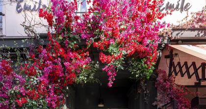 Hôtel Emile Le Marais