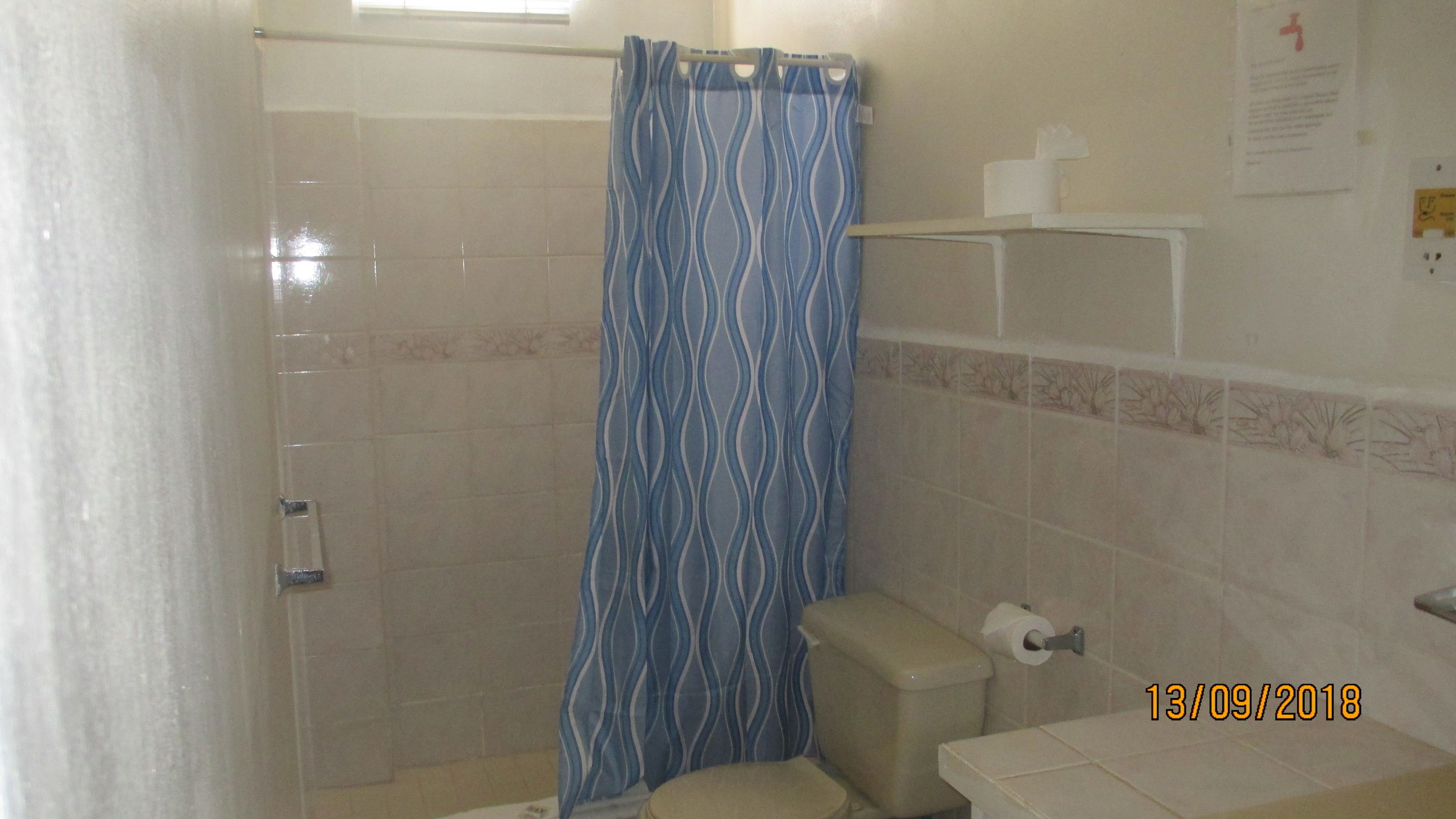 A bathroom with a shower, toilet, and a towel rack.