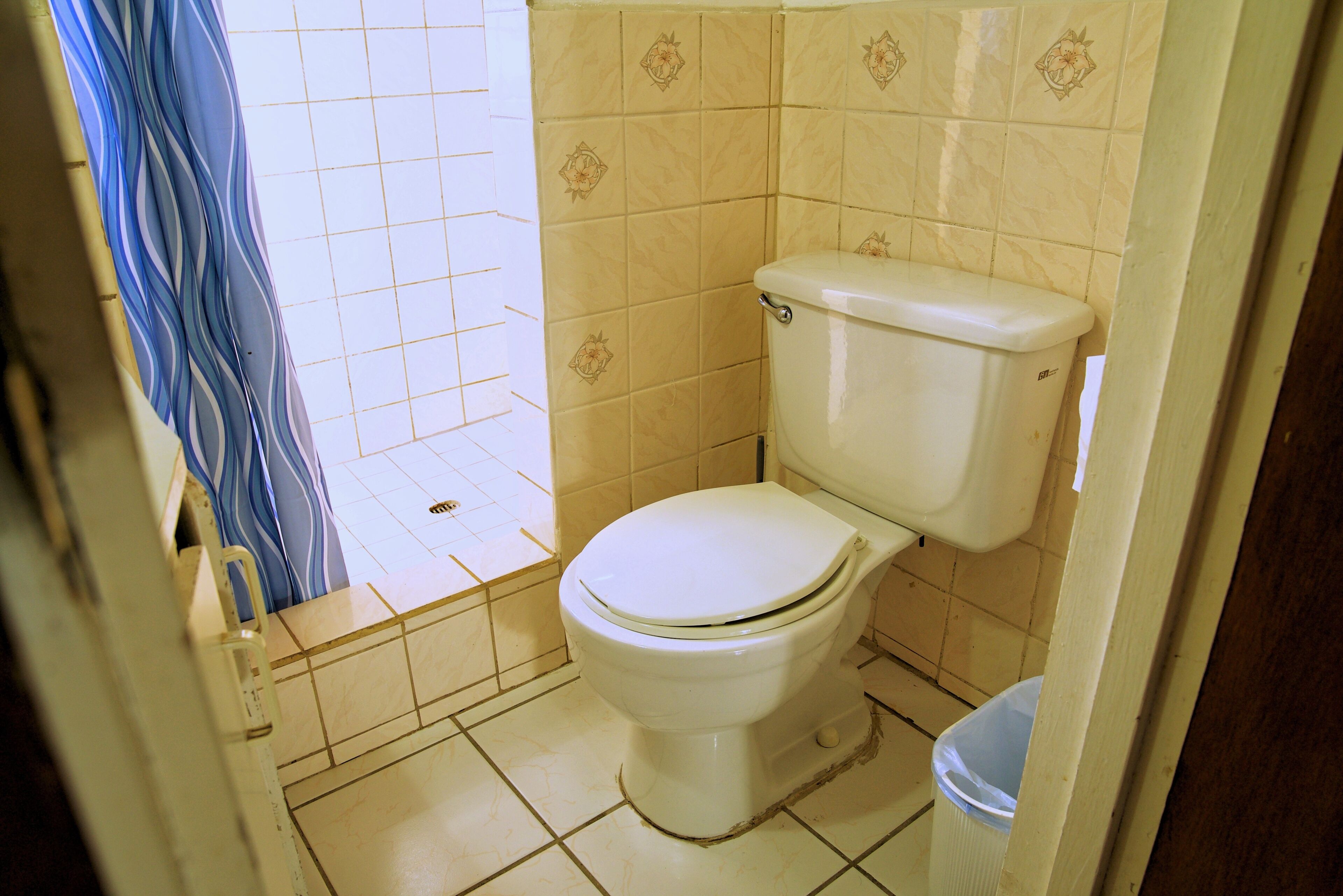 Ein kleines Badezimmer mit Toilette, Mülleimer und Duschvorhang.