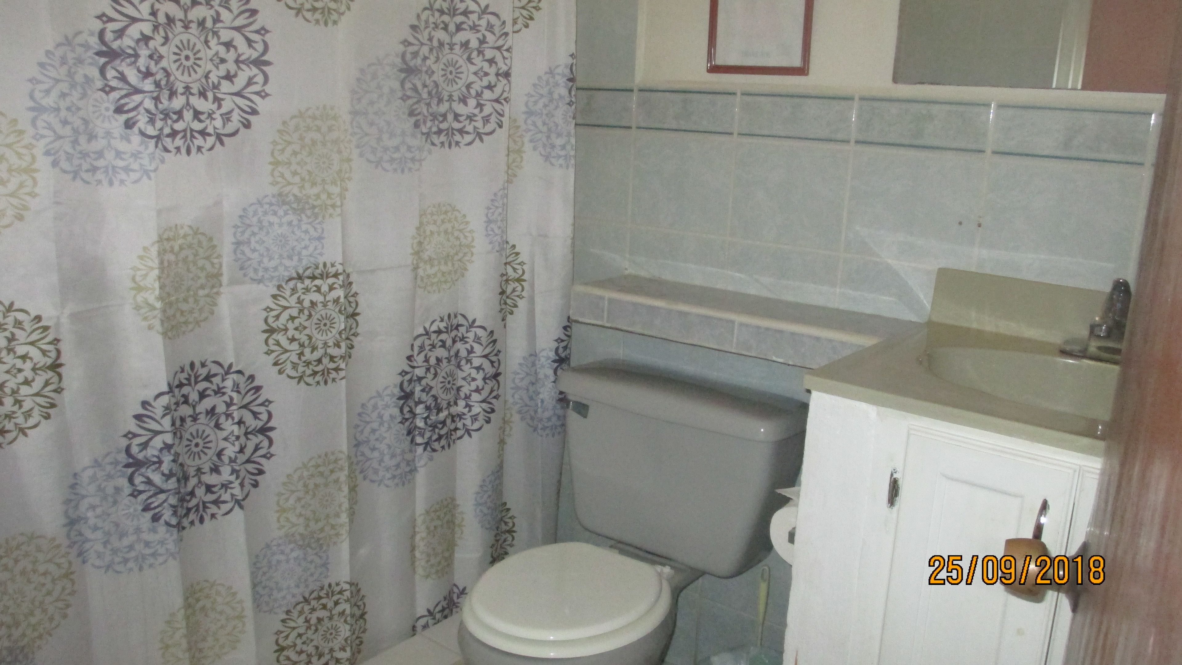 Un baño con inodoro, lavamanos y cortina de ducha con motivos florales.