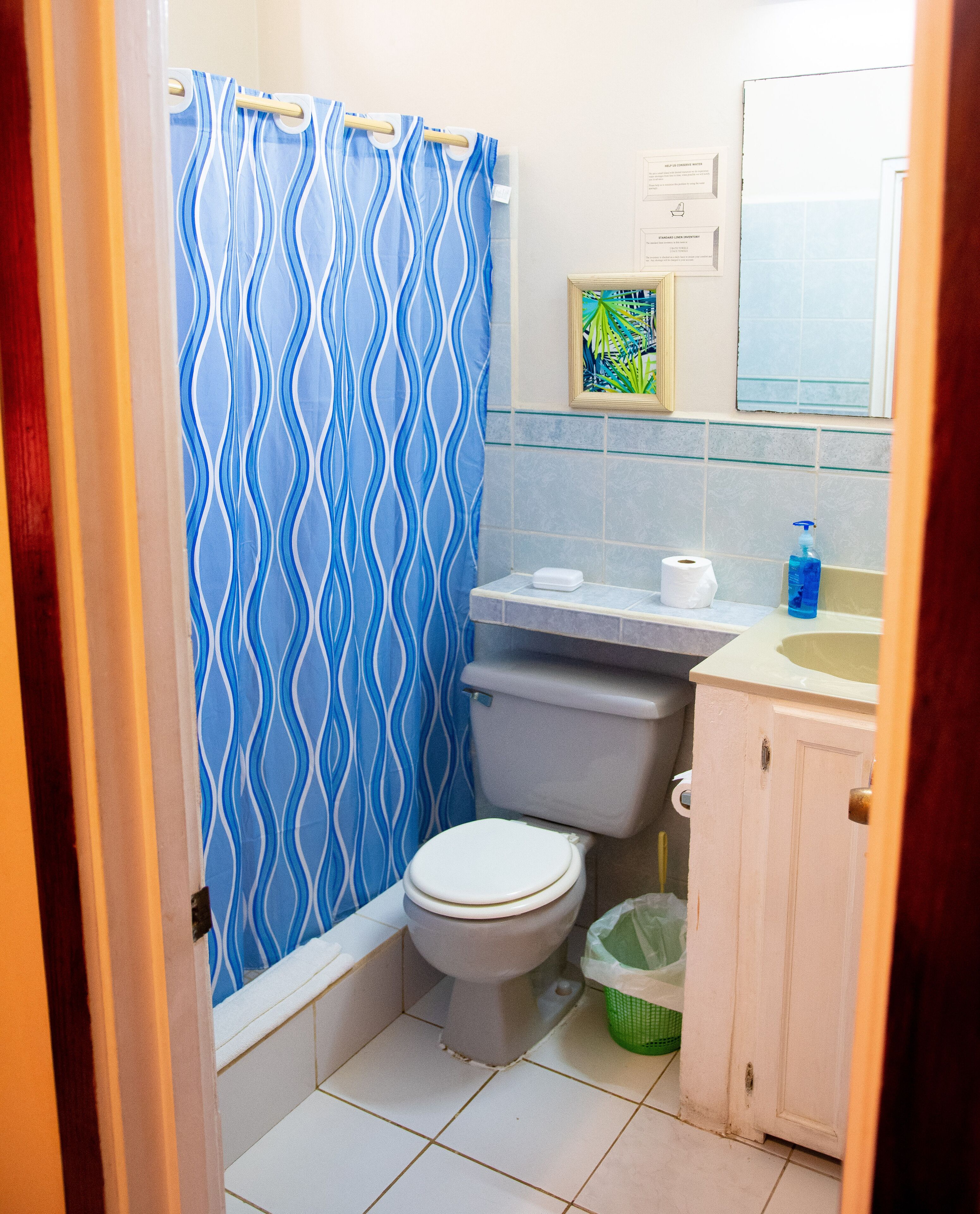 Une salle de bain avec des toilettes blanches, un rideau de douche bleu et blanc, un lavabo avec un miroir et une poubelle verte.