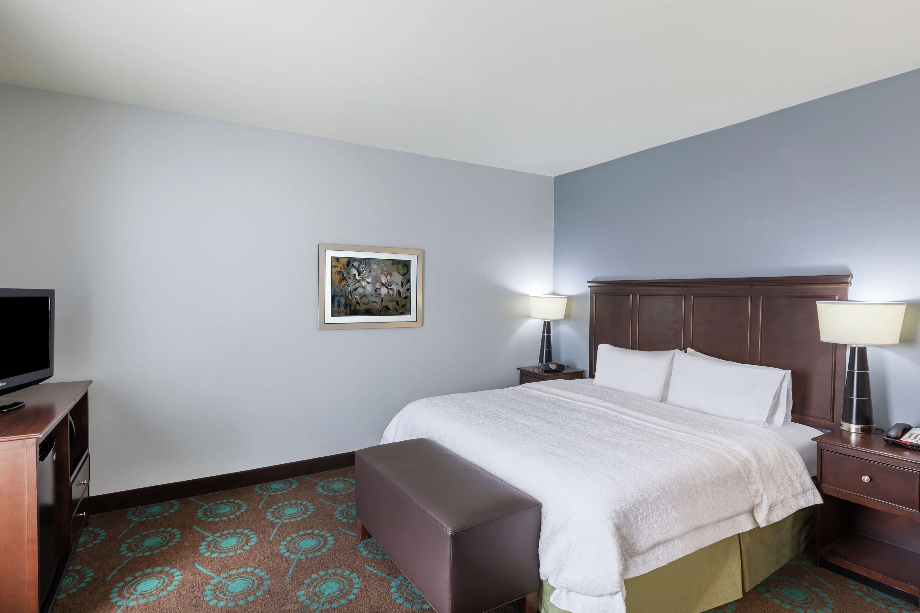 Habitación de hotel con cama, escritorio con televisor, dos lámparas de noche, mesita de noche y alfombra estampada.
