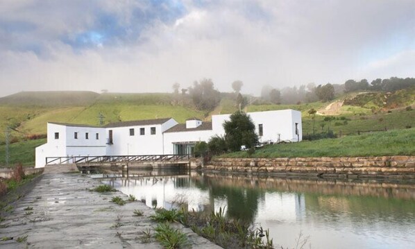 Property grounds - Peña de Arcos (Arcos de la Frontera)