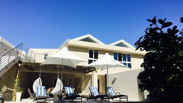 Outdoor pool, sun loungers
