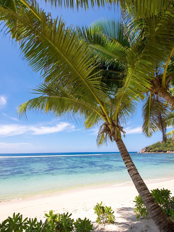 On the beach, white sand, sun loungers, beach umbrellas