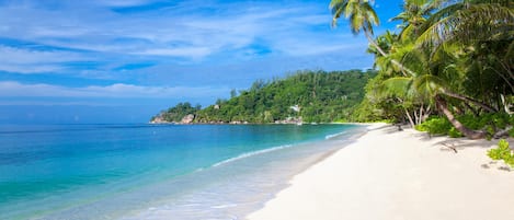 Sulla spiaggia, sabbia bianca, lettini da mare, ombrelloni