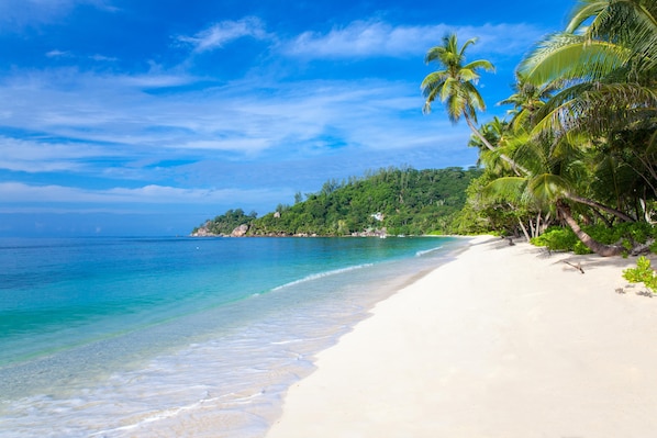 On the beach, white sand, sun loungers, beach umbrellas - Kempinski Seychelles Resort (Mahé Island)
