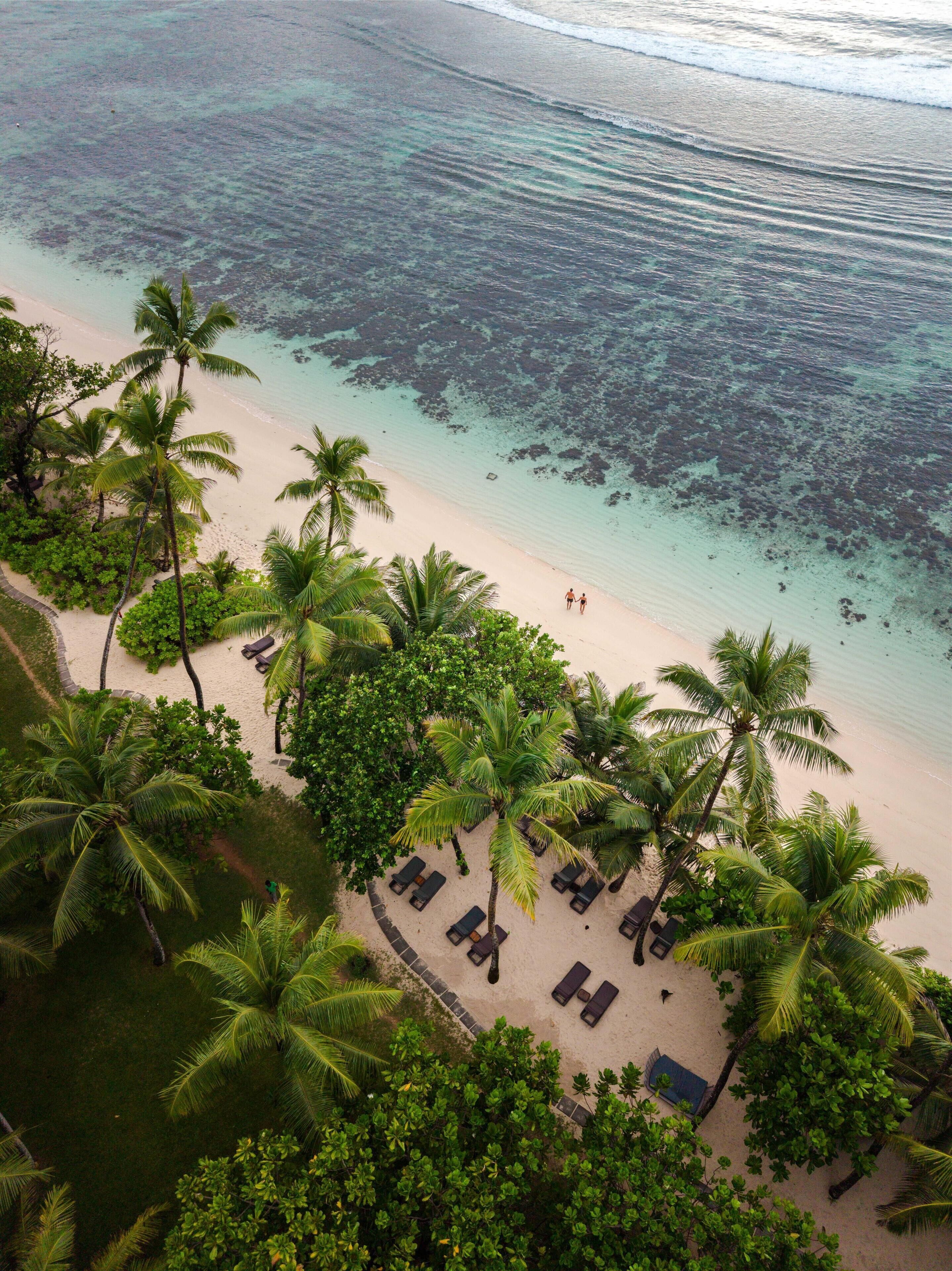 An aerial view of a beach with palm trees, lounge chairs, and a clear view of the ocean.
