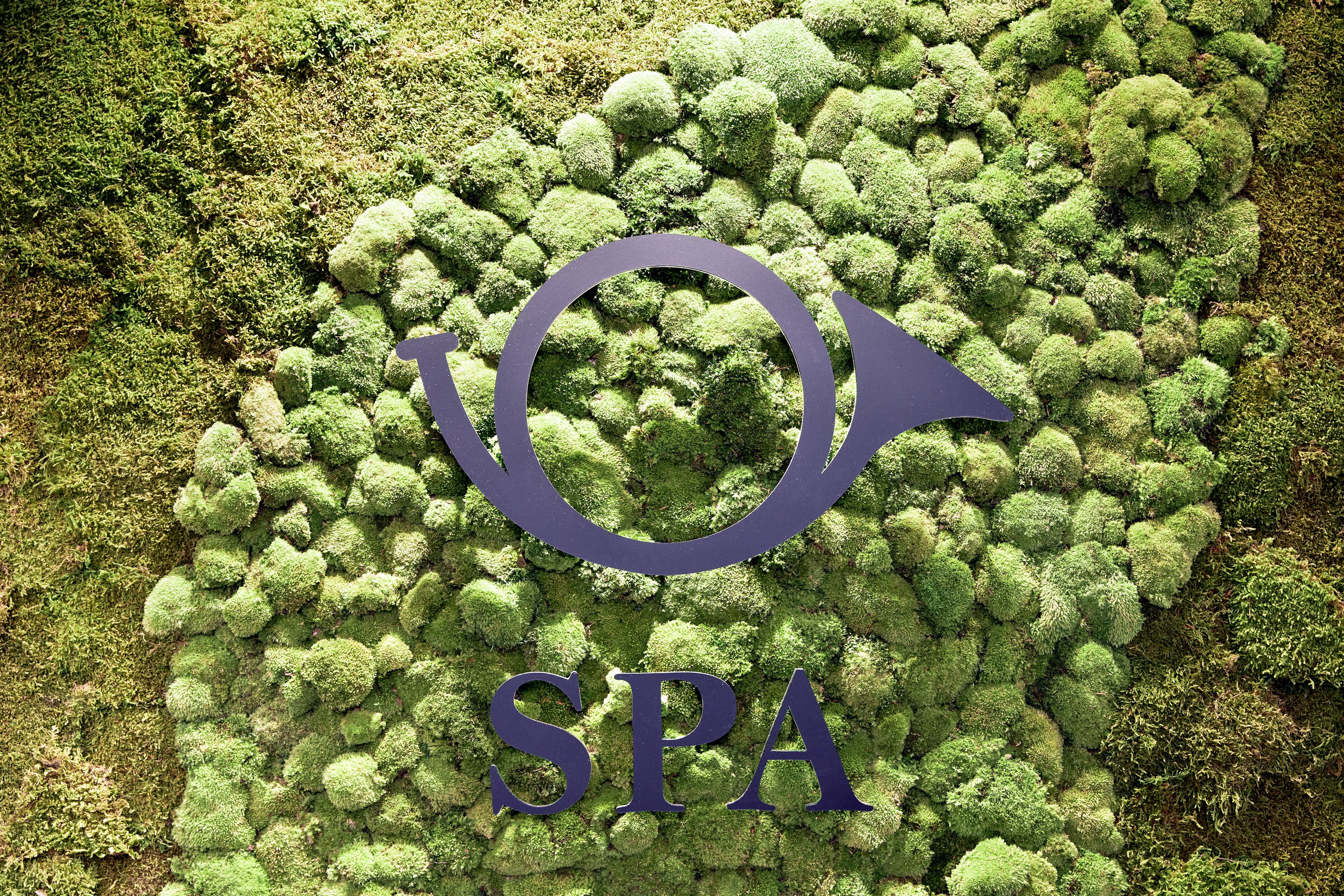 A logo with the letters "SPA" on a mossy surface.