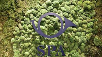 A logo with the letters "SPA" on a mossy surface.