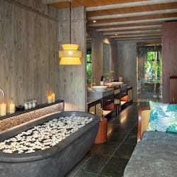 Riverfront Pool Villa | 2 bedrooms, premium bedding, down duvets, minibar