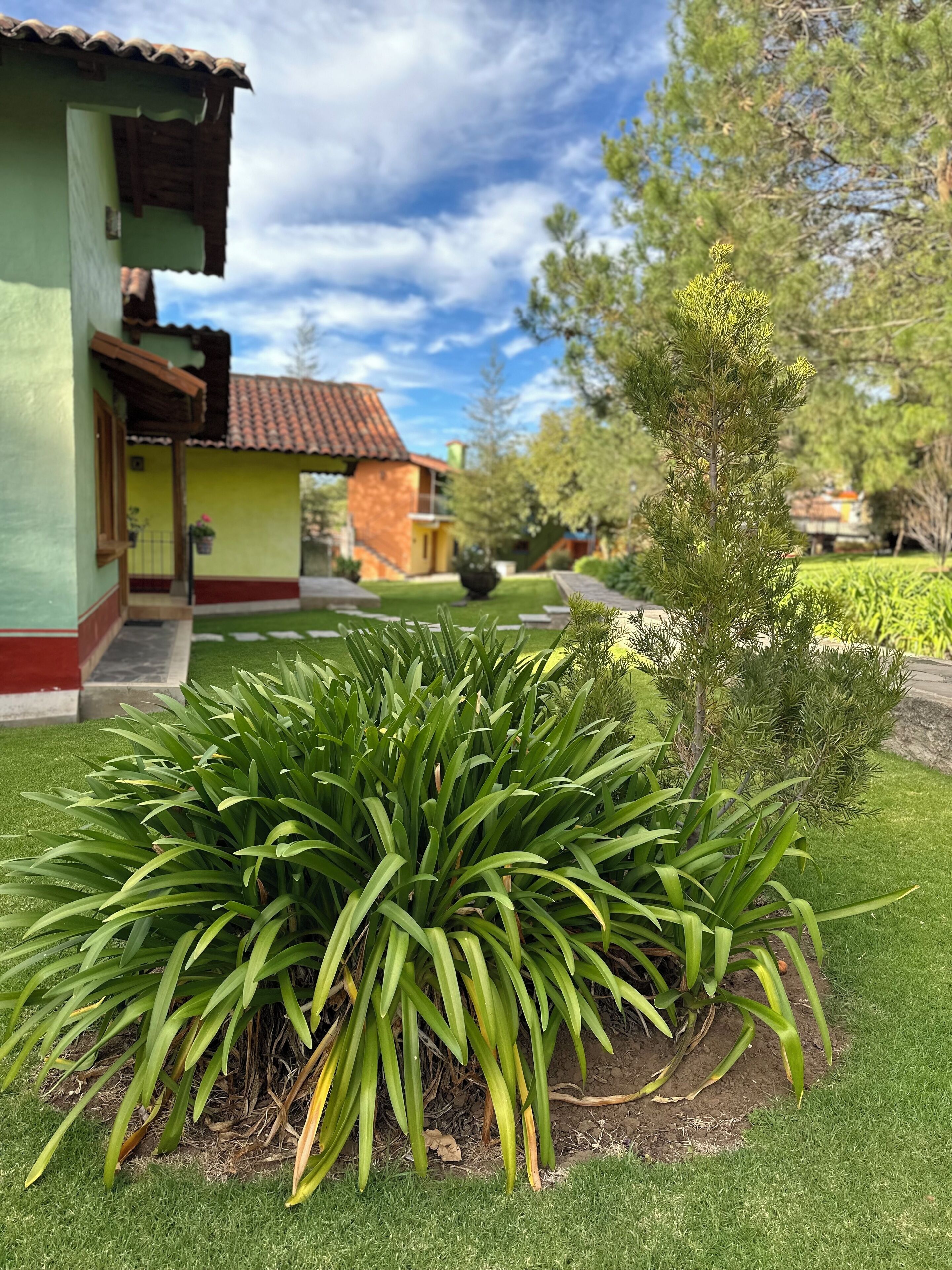 A house with a green exterior and a red roof, surrounded by well-maintained grass and plants.