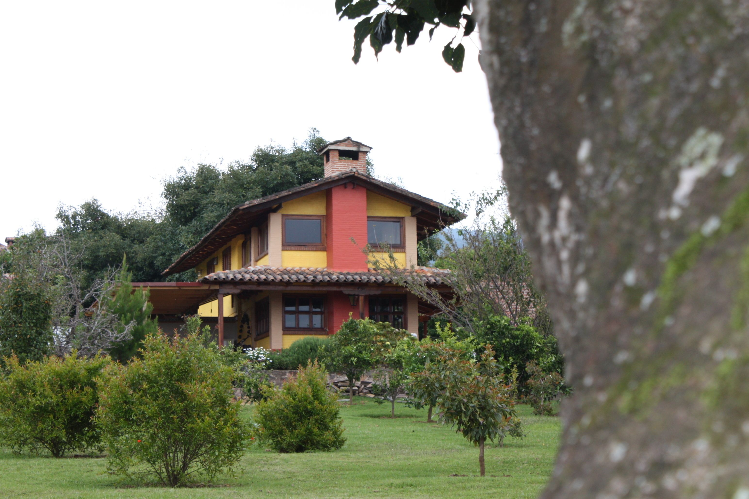 A two-story house with a red chimney, surrounded by greenery and trees.