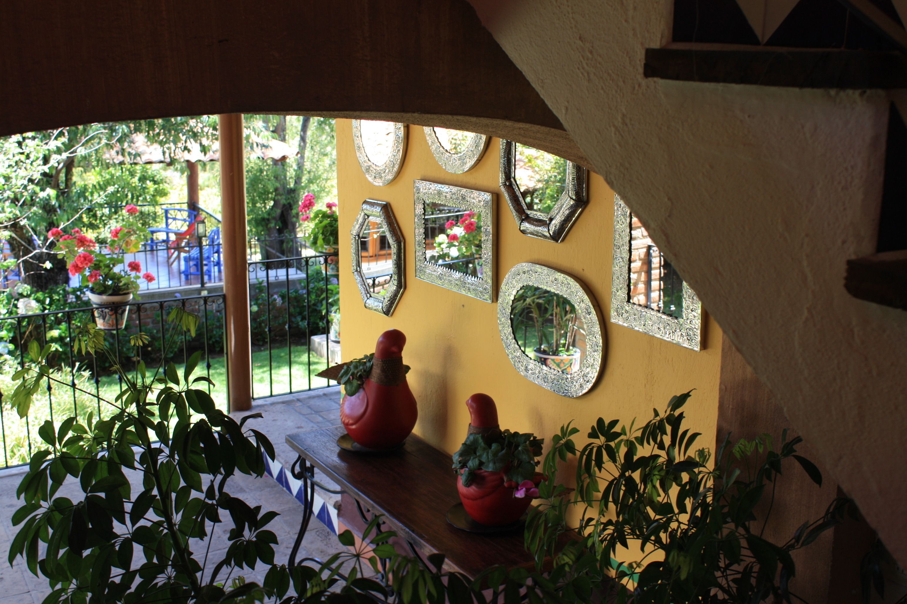 A room with a yellow wall, multiple mirrors, and potted plants.