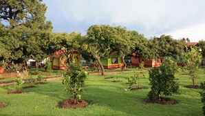 A garden with various trees and a building with a red roof.
