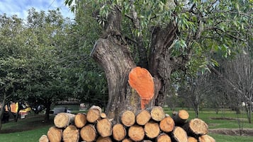 Jardín