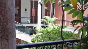 Un balcón con una maceta, una barandilla y vistas de un edificio con arcos y una escalera.