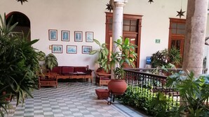 Un espacio interior amplio con piso a cuadros, varias plantas en macetas, un banco de madera y obras de arte enmarcadas en las paredes.