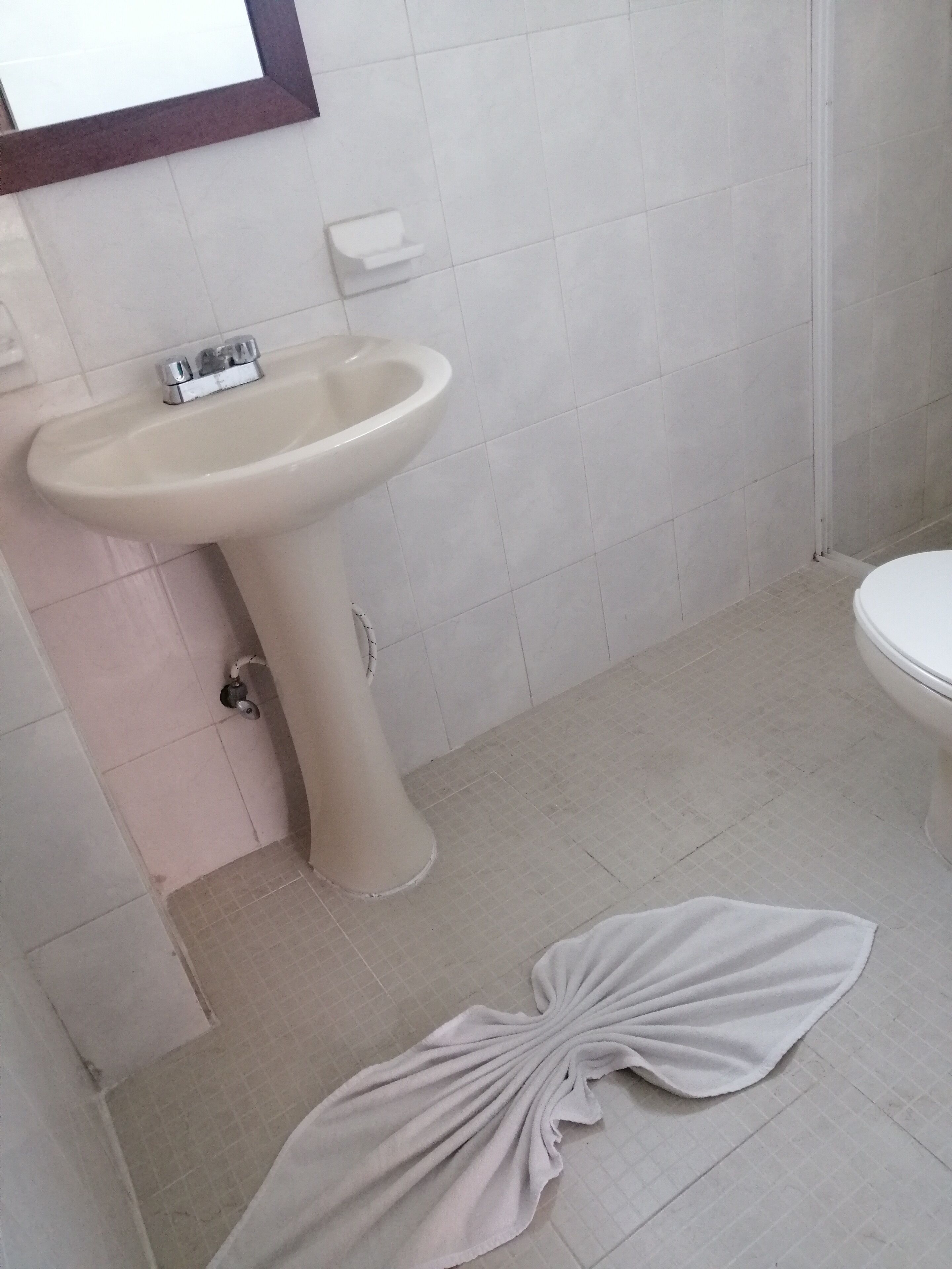 Foto - Hotel Reforma