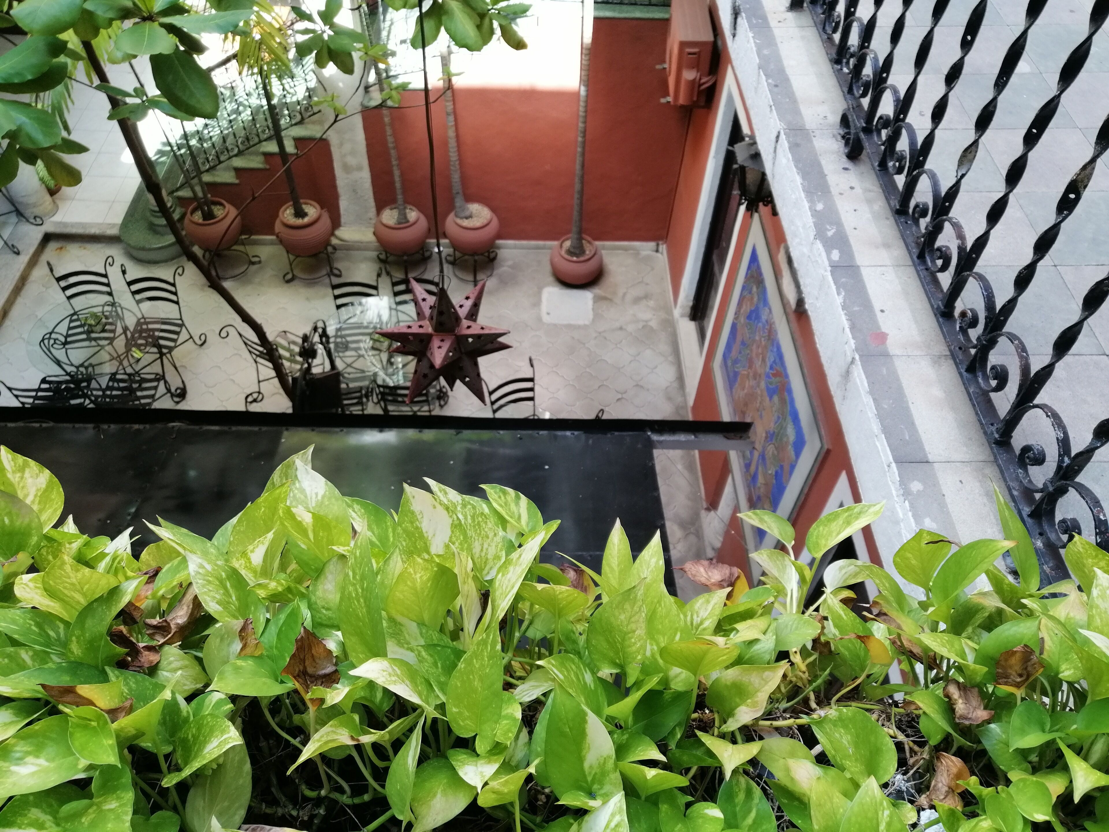 Foto - Hotel Reforma