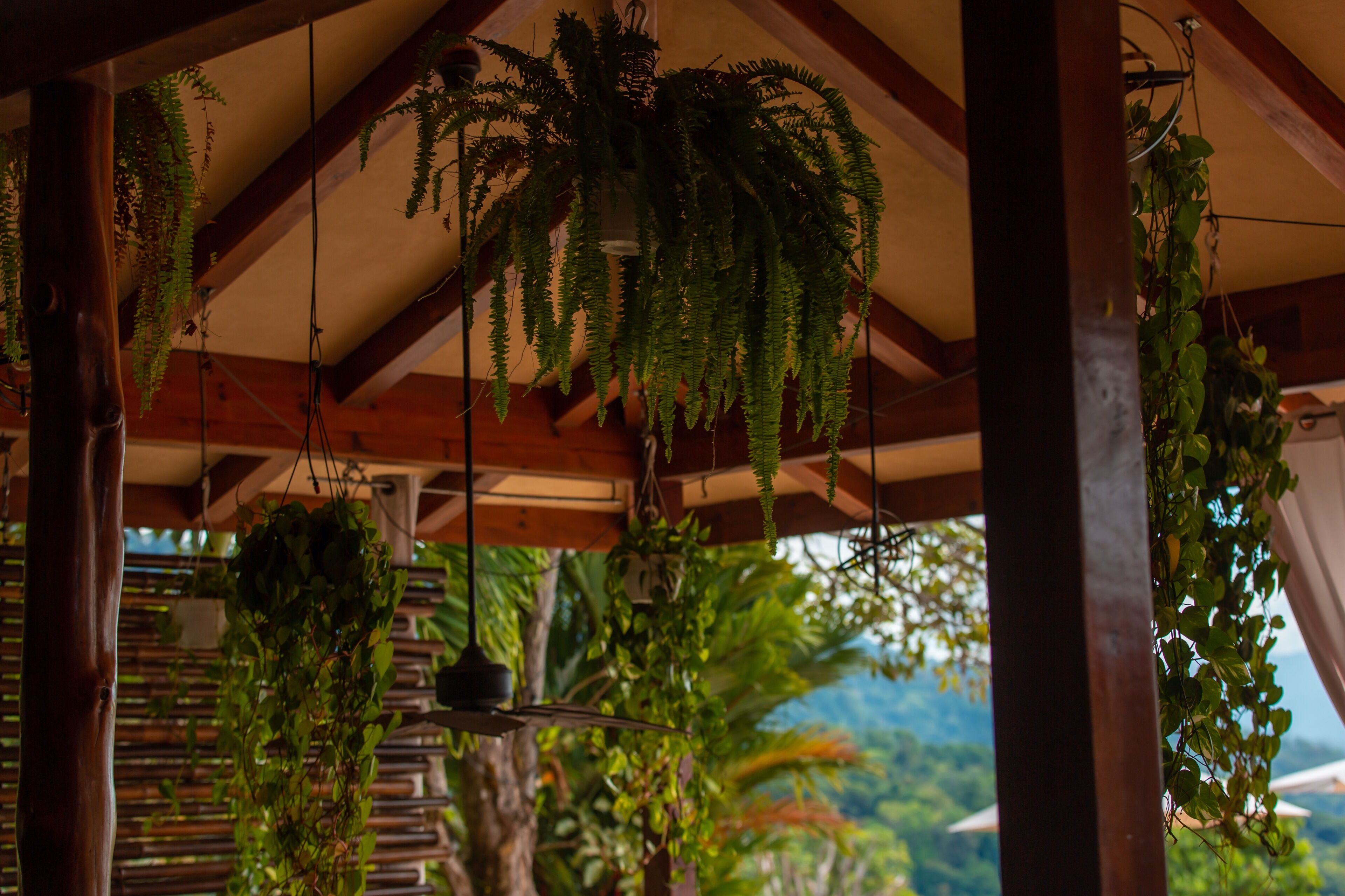 breakfast, lunch, dinner served; pool views