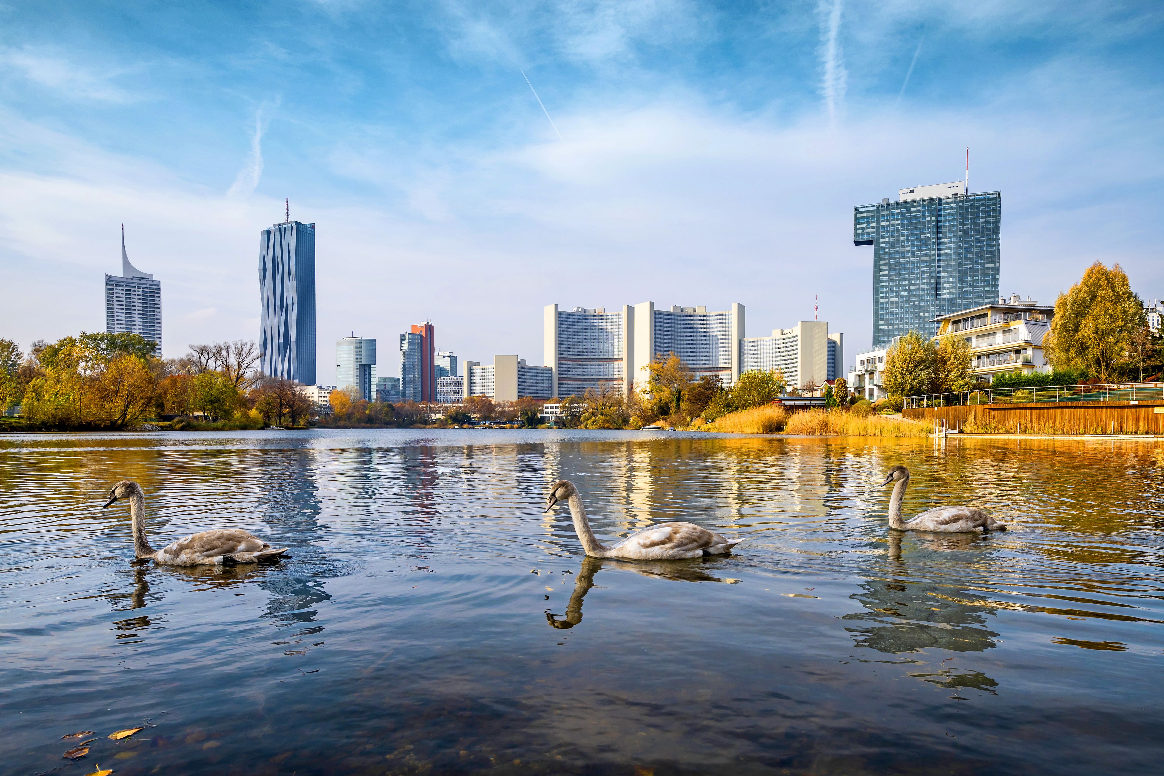 Foto - Strandhotel Alte Donau