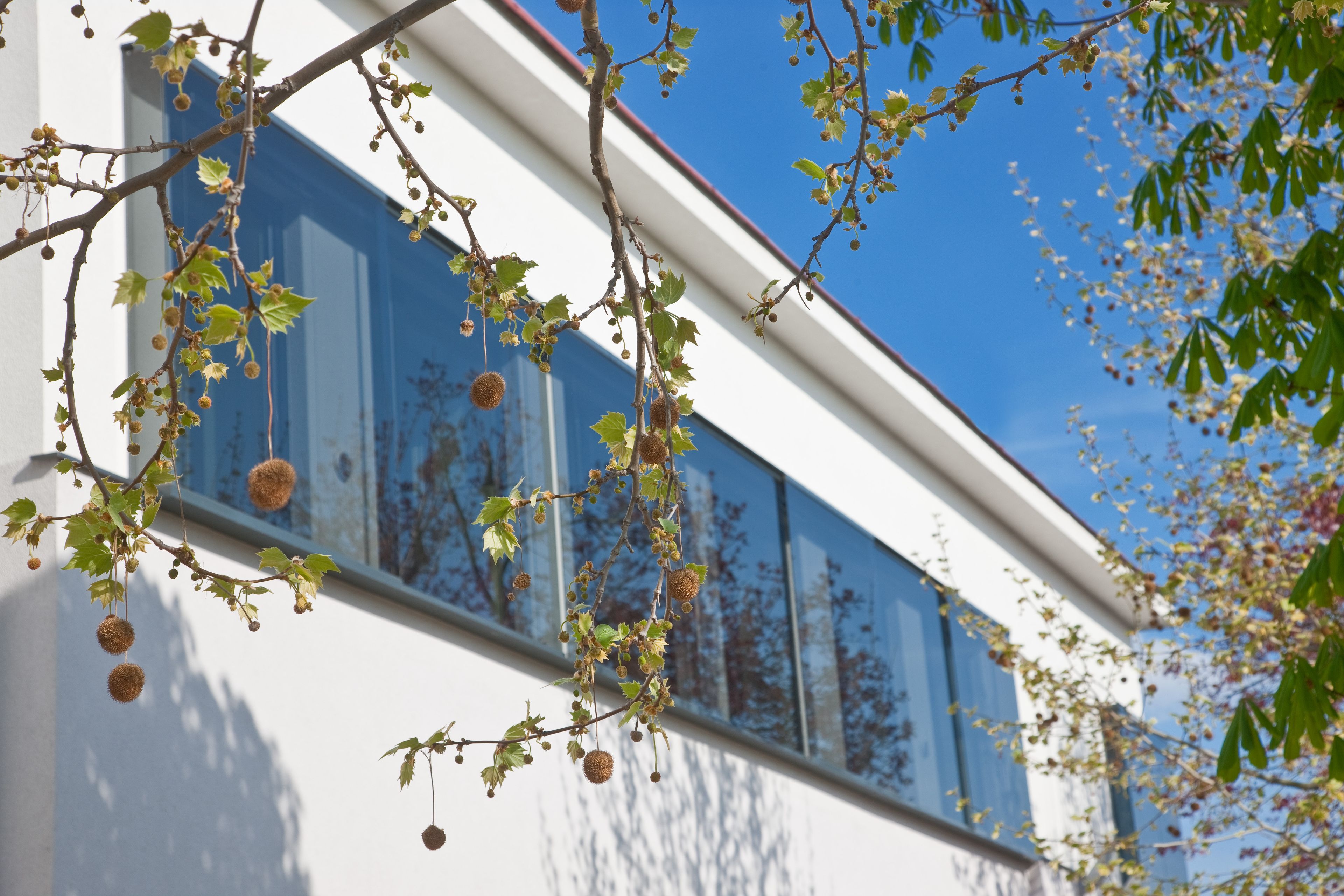 Fassade der Unterkunft