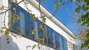 A building with large windows and a tree branch with leaves and round fruits in front. - Strandhotel Alte Donau (Vienna)