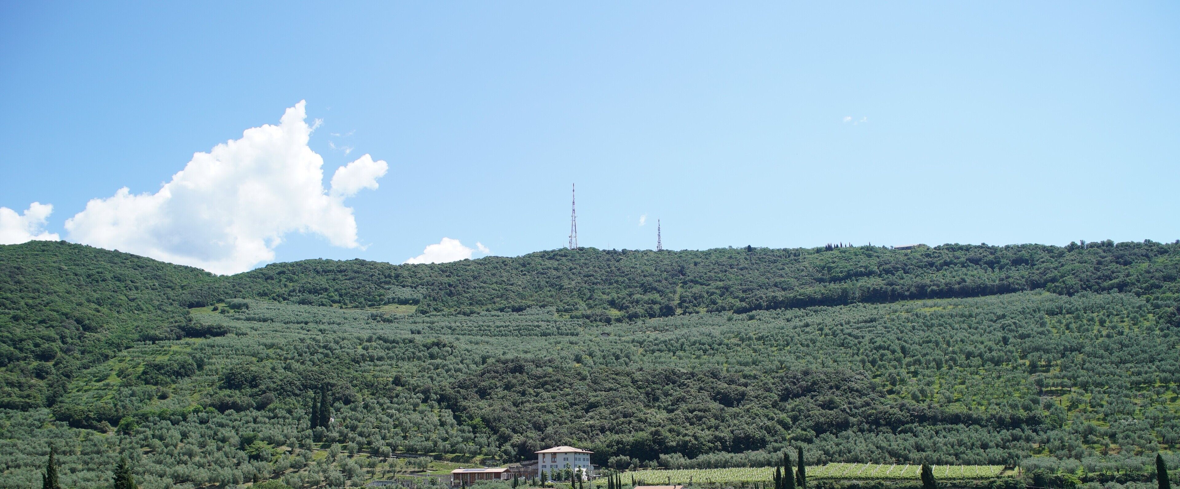 romantic suite, lake view | view from room