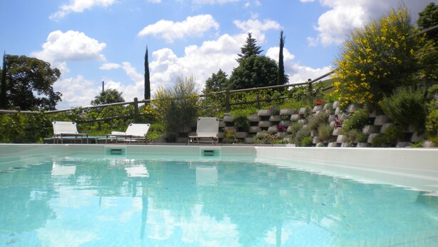 A swimming pool with two lounge chairs, surrounded by greenery and a stone wall with plants. - Agriturismo Il Cavicchio (Pianoro)