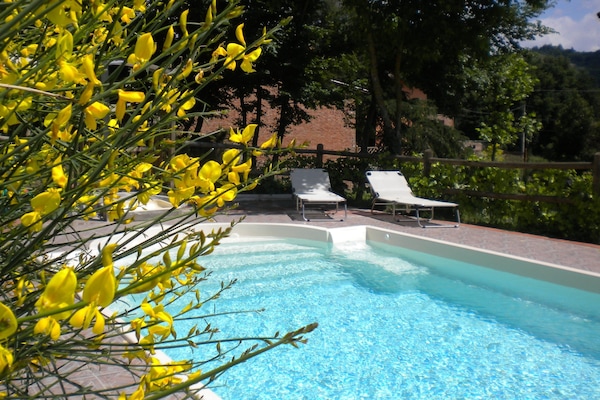Alberca al aire libre y camastros